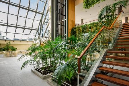 ALEGRIA Caprici Verd - 25