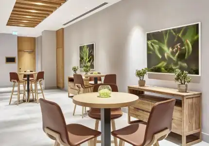 Hilton Garden Inn Dubai, Mall Avenue - 19