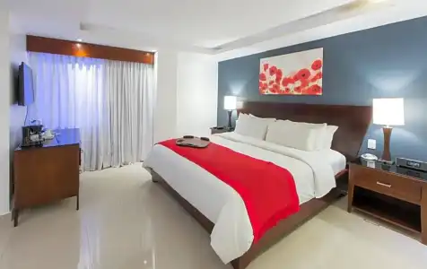 Centro Plaza Hodelpa - 56