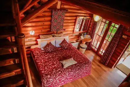 Queenswood Cottage - 37