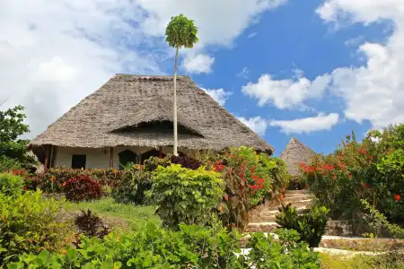 Sazani Beach Lodge and Tidal Lounge - 12