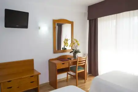 Caballo de Oro - 24