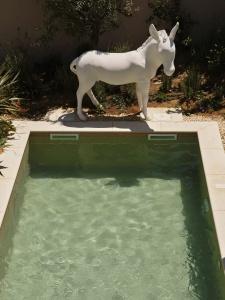 NAUMA PAROS Design Boutique-Adults Only - 100