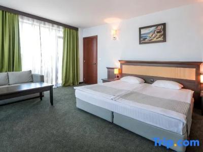 Lion Sunny Beach - 64