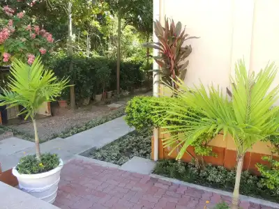 Reef Holiday Apartments - 26