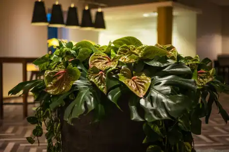 Sheraton Duesseldorf Airport - 26