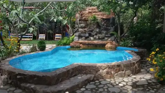 Savane - 14