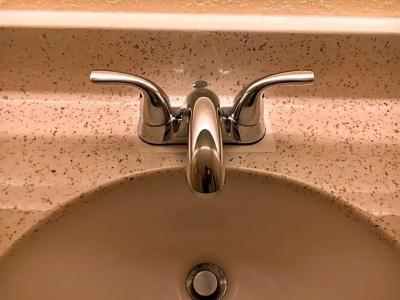 B&B Orlando International Drive Near Universal - Newly Renovated! - 134
