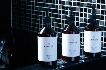 Randor Residential Sapporo Suites - 25