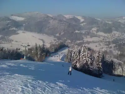 Vestina - 28