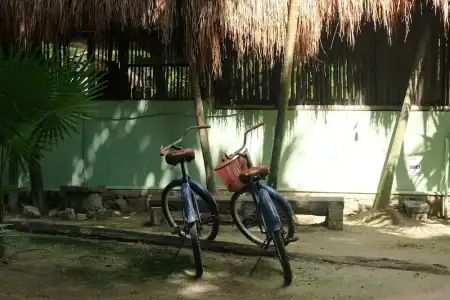 Eco.Bañitas - 0