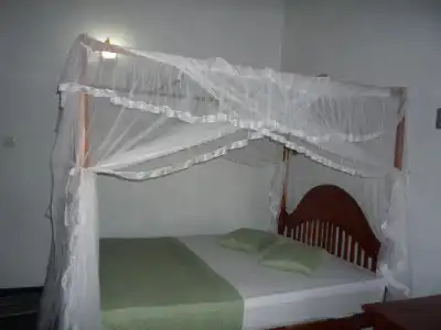 Beach Lagoon Guesthouse - 1