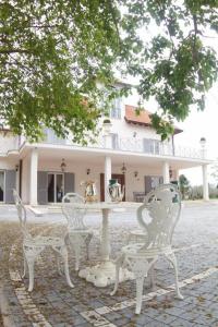 Villa Strampelli - 17