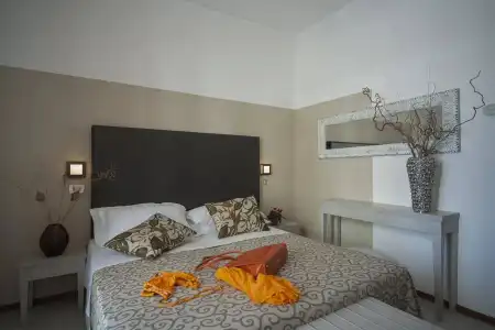 Stella d'Oro - 2