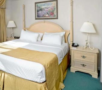 Hilton Vacation Club Greensprings Williamsburg - 68