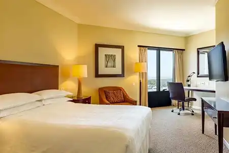 Sheraton Buenos Aires & Convention Center - 53