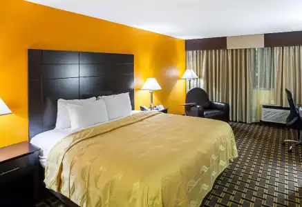 Quality Inn & Suites Cincinnati Downtown Area - 58