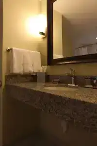 Crowne Plaza Lansing by IHG - 67