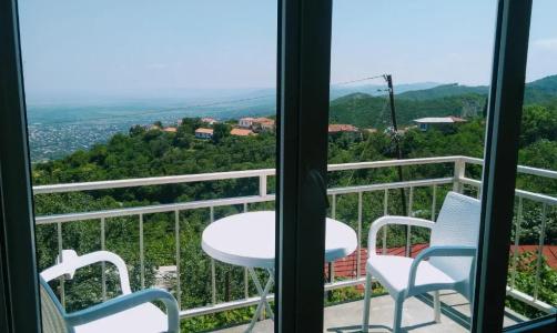 Guest House Alazani Valley - 30