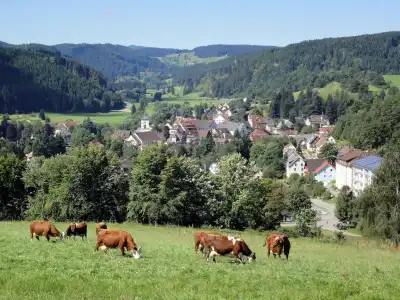 Schwörer - 16