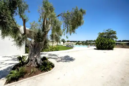 Addauro Resort - 11