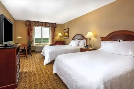 Hilton Garden Inn Florence - 37