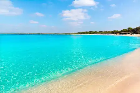 Honucai - 21