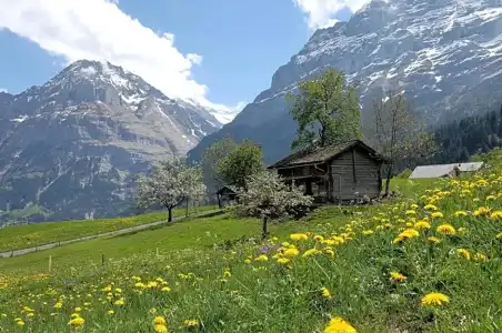 Aspen alpin lifestyle Grindelwald - 39