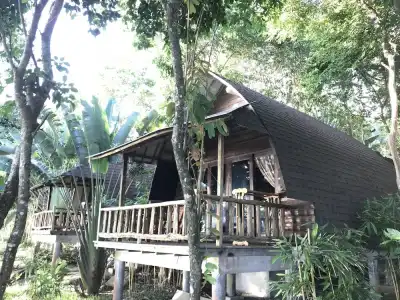 Tolani Resort Koh Kood - 16