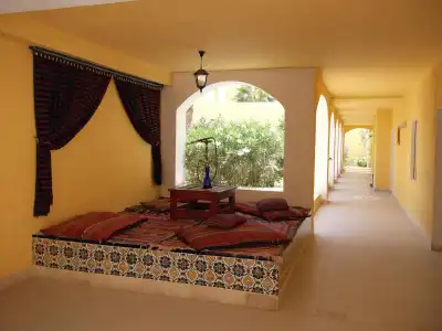 Sun Palm - 21