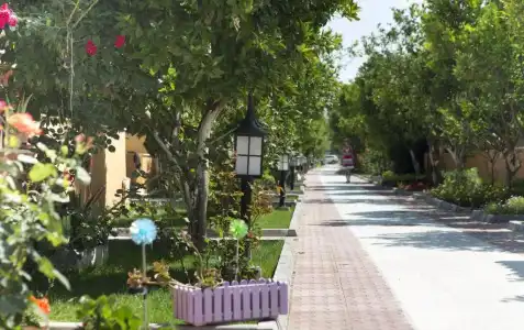 Ozlem Garden - All Inclusive - 69