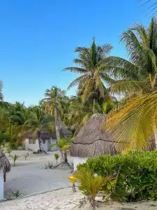 Alito Tulum - 12