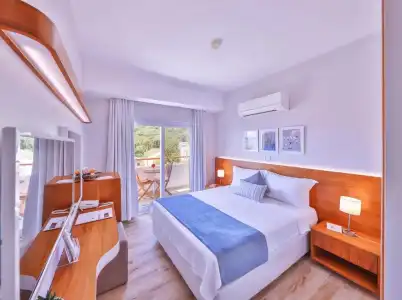 Olea Nova - 38