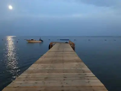 Palm Beach - 18