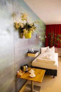 Abalon Ideal - 29