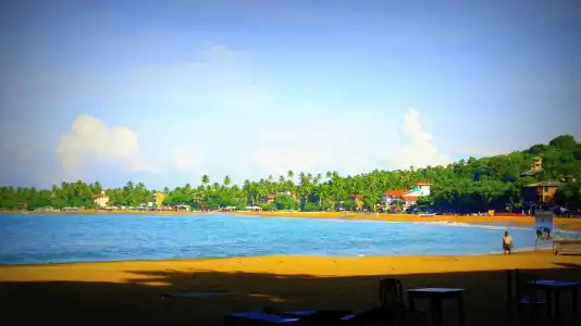 Banana Garden Resort - 1
