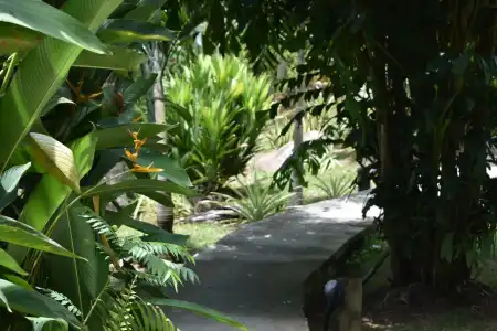 A Peace in Paradise - 6