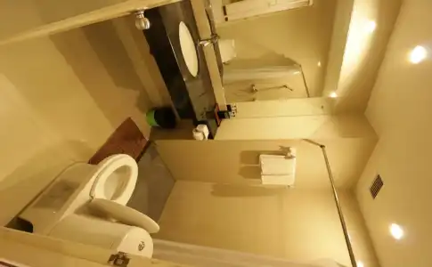 The Royal Bee Apart - 7
