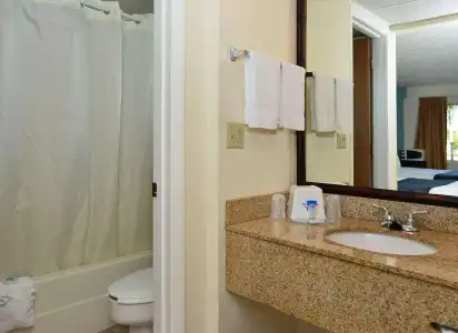 Americas Best Value Inn Bradenton Sarasota - 10