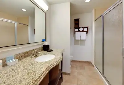 Hampton Inn & Suites Dallas-Arlington-South - 59