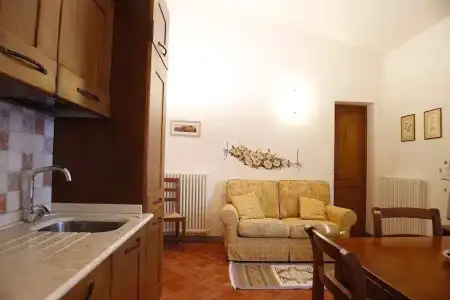 Gatto Bianco Tizzauli - 39