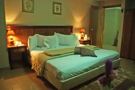 Amman Orchid - 37