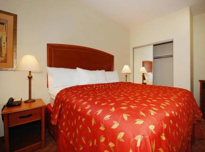 Best Western Plus San Antonio East Inn & Suites - 6