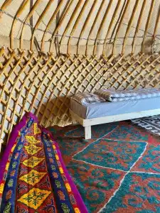 Yurt camp Sonun - 22