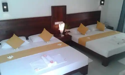 Janus Paradise Rest - 44
