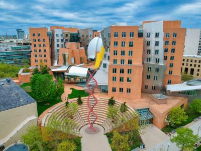 Holiday Inn Express & Suites Boston - Cambridge by IHG - 11