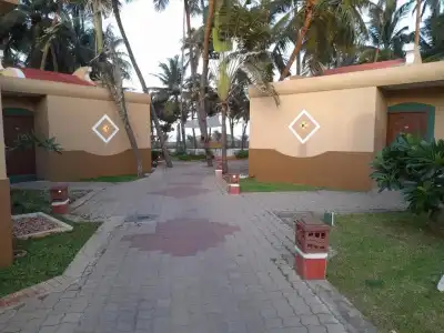 MGM Beach Resorts - 52