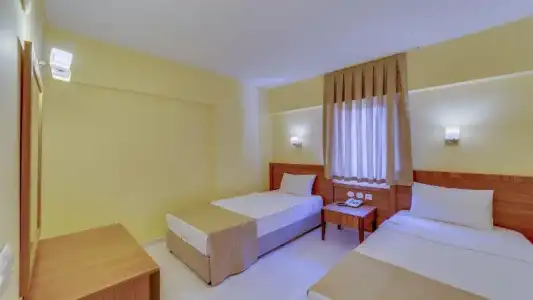 Alenz Suite - 40