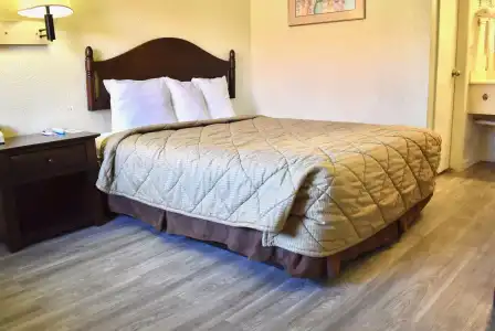 Remodeled 1920s Bungalow & Retro Casita - 3