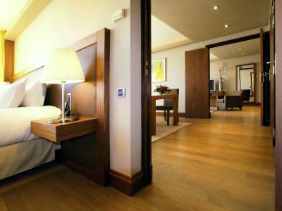 Sofitel Lyon Bellecour - 28